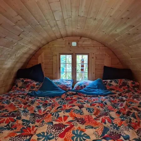 De La Foret 1 A 6 Pers