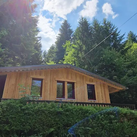 Chalet De La Foret - 6 Personnes *