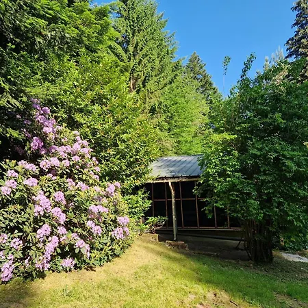 Chalet De La Forêt - 6 personnes Saint-Sauveur (Meurthe-et-Moselle)