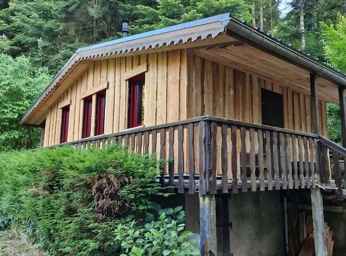 Chalet De La Foret 1 A 6 Pers Saint-Sauveur (Meurthe-et-Moselle)